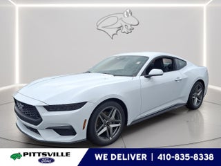 2025 Ford Mustang EcoBoost