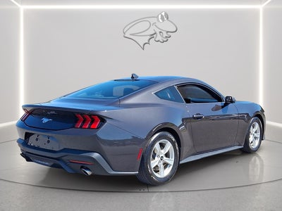 2024 Ford Mustang EcoBoost