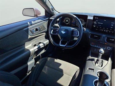 2024 Ford Mustang EcoBoost