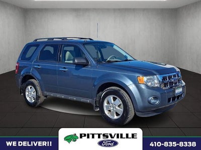 2011 Ford Escape XLT