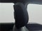 2025 Ford Super Duty F-350 DRW Lariat