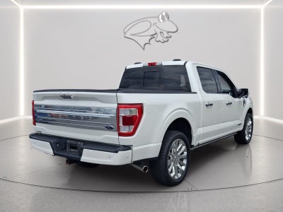 2023 Ford F-150 Limited