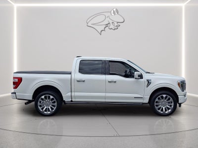 2023 Ford F-150 Limited