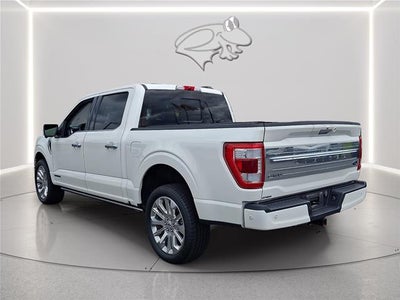 2023 Ford F-150 Limited