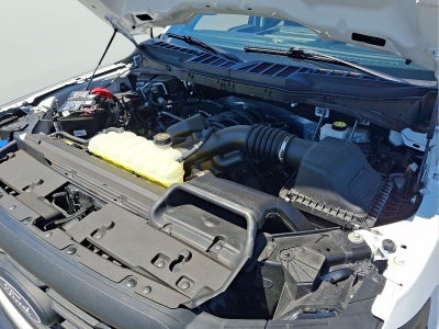 2024 Ford F-150 XL