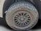 2025 Toyota Tundra 1794 Edition HV