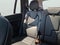 2020 Volvo XC90 Momentum
