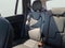 2020 Volvo XC90 Momentum