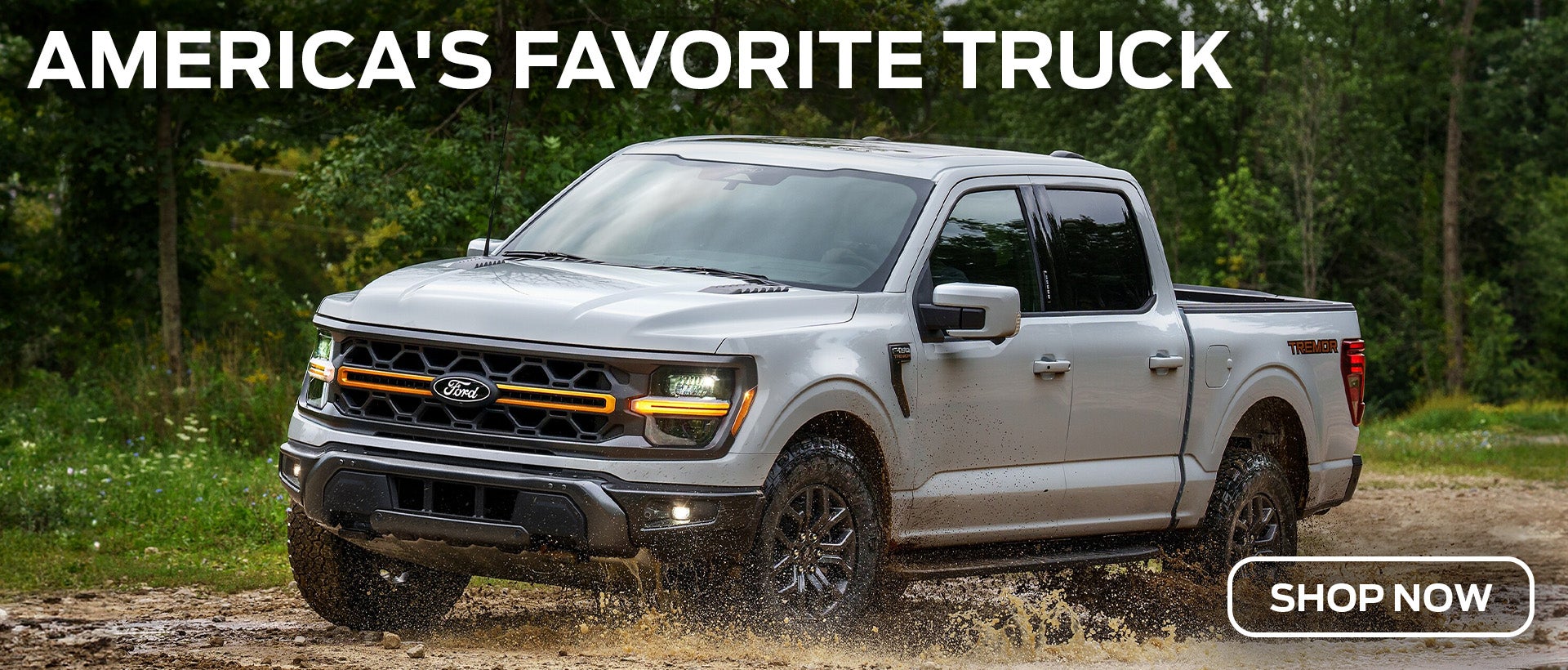 Ford F-150 Salisbury MD