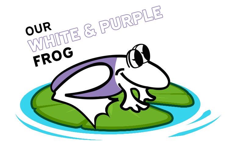 WHITE PRESTON FROG WEARING PURPLE